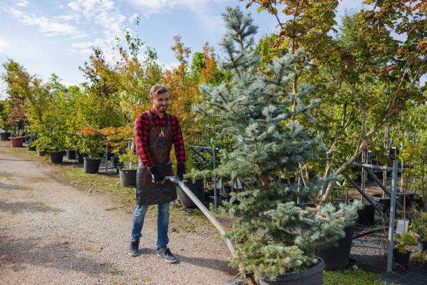 Mulching Services in Sublimity, OR