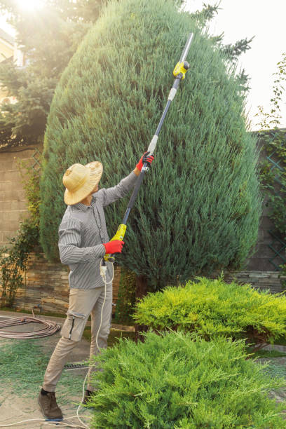 Best Lawn Maintenance Plans  in Sublimity, OR